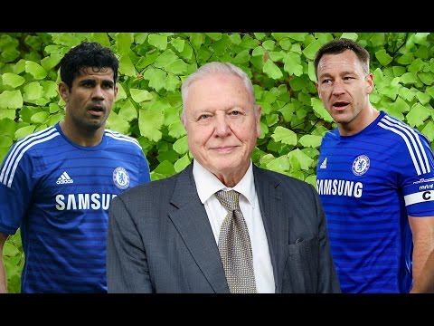 David Attenborough Meets Chelsea FC